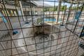 Property photo of 187 Lee Point Road Wanguri NT 0810