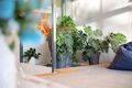 Property photo of 3/21 Jenkin Street South Fremantle WA 6162
