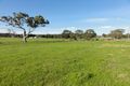Property photo of 631 Macclesfield Road Macclesfield SA 5153