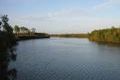 Property photo of 148 Pavia Drive Nome QLD 4816