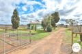 Property photo of 481 Reserve Road East Coomealla NSW 2717