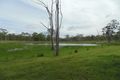 Property photo of 181 Guppys Road Eureka QLD 4660