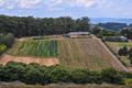 Property photo of 15 McCarthy Road Olinda VIC 3788