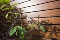 Property photo of 110 Flinders Street Darlinghurst NSW 2010