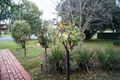 Property photo of 31 Bartlett Street Tatura VIC 3616