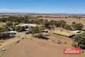 Property photo of 334 Nurse Road Freeling SA 5372