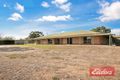 Property photo of 334 Nurse Road Freeling SA 5372