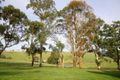 Property photo of 17 Town Road Gembrook VIC 3783