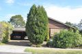 Property photo of 29 Halstead Street Caulfield North VIC 3161