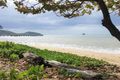 Property photo of 5 Sago Close Palm Cove QLD 4879