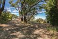 Property photo of 25 Waterfall Gully Road Main Ridge VIC 3928