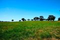 Property photo of 132 Old Gap Road Manton NSW 2582