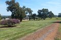 Property photo of 287 Maine-Anjou Drive Lower Chittering WA 6084