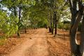 Property photo of 1376 Florina Road Cossack NT 0850