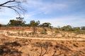 Property photo of 22 Wheatley Road Loxton SA 5333