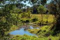 Property photo of 241 Obi Obi Road Mapleton QLD 4560