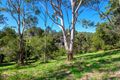 Property photo of 241 Obi Obi Road Mapleton QLD 4560