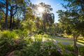 Property photo of 37 Golf Circuit Tura Beach NSW 2548