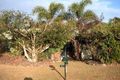 Property photo of 9 Junee Court Woombye QLD 4559