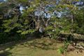 Property photo of 20 Image Flat Road Nambour QLD 4560