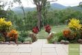 Property photo of 6 Mount Elliot Drive Alligator Creek QLD 4816