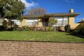 Property photo of 11 Dooley Street Warrnambool VIC 3280