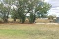 Property photo of 13 Thomas Street Moonbi NSW 2353