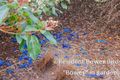 Property photo of 34 Garland Road Bundanoon NSW 2578