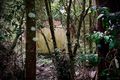 Property photo of 5 Mundora Road Springbrook QLD 4213