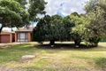 Property photo of 15 Zoccoli Street Coonamble NSW 2829