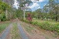 Property photo of 87 Houghlahans Creek Road Teven NSW 2478