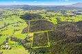 Property photo of Goanna Road Cobargo NSW 2550