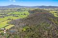 Property photo of Goanna Road Cobargo NSW 2550
