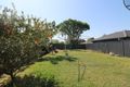 Property photo of 9 Yerrick Road Lakemba NSW 2195