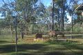 Property photo of 70 Wulkuraka Connection Road Blacksoil QLD 4306