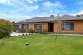 Property photo of 38 Michael Avenue Modbury North SA 5092