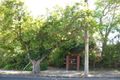 Property photo of 16 Mitchell Road Caulfield North VIC 3161