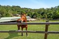 Property photo of 7 Nathan Valley Road Mount Nathan QLD 4211