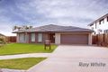 Property photo of 59 Cowie Road Carseldine QLD 4034