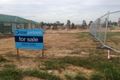 Property photo of 25 Dalrymple Street Minto NSW 2566
