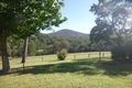 Property photo of 66 Allards Lane Nelligen NSW 2536