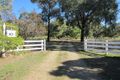 Property photo of 10 Norman Duck Avenue San Isidore NSW 2650