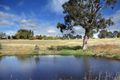 Property photo of 4 Linden Close Murrumbateman NSW 2582