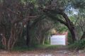 Property photo of 312 Eastern Valley Way Middle Cove NSW 2068