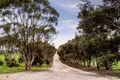 Property photo of 528 Kybunga Top Road Kybunga SA 5453