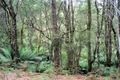 Property photo of 317 Ten Foot Track Preolenna TAS 7325