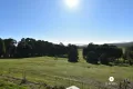 Property photo of 25 Duffy Lane Stanley VIC 3747