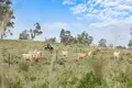 Property photo of 447 Windsor Drive Mount Hallen QLD 4312