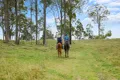 Property photo of 447 Windsor Drive Mount Hallen QLD 4312