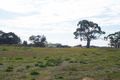 Property photo of 15 Wilkins Road Naracoorte SA 5271